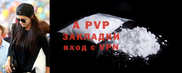 крисы Алексин